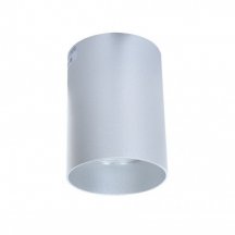 Потолочный светильник Lumina Deco Flixton LDC 8053-A SS-D85*H115 SL