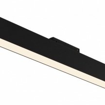 Немецкий потолочный светильник Maytoni Track lamps TR012-2-20W3K-B