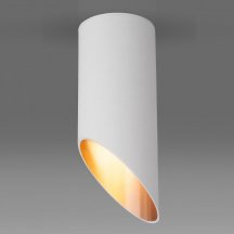 Немецкий потолочный светильник Elektrostandard  4690389151163