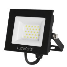 Прожектор уличный Luminarte LFL-30W/06