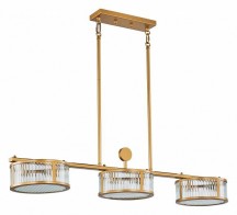 Подвесная люстра Favourite Radiales 3099-6P