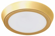 Настенно-потолочный светильник Lightstar Urbano 216934