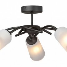 Потолочная люстра Vitaluce V2850-1/5PL