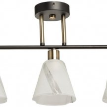 Потолочная люстра Тетро 118010403