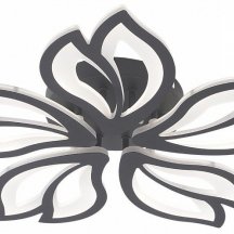 Потолочная люстра Fortuna LED LAMPS 81107/5C