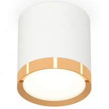 Точечный светильник Ambrella light Techno Spot XS8141004