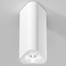 Потолочный светильник Elektrostandard 25110/LED a067062