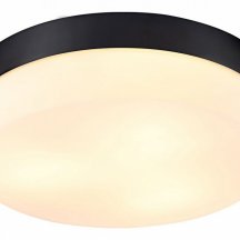 Потолочный светильник Arte Lamp Aqua-tablet A6047PL-3BK