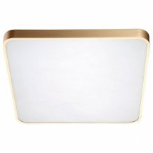 Потолочный светильник для коридора zumaline  12100005-GD