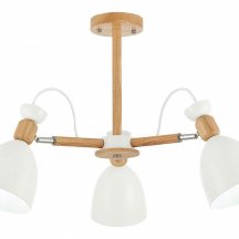 Люстра для гостиной Evoluce Balcamo SLE103802-03
