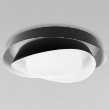 Потолочный светильник Loft IT Petale 10256 Black