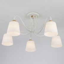 Потолочная люстра Eurosvet 70062/5 белый