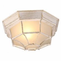 Уличный потолочный светильник Arte Lamp Pegasus A3121PF-1WG