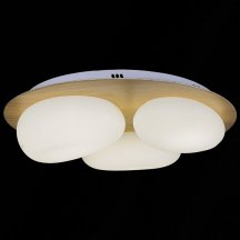 Потолочный светильник Reluce 10009-0.3-60W AEROLITE