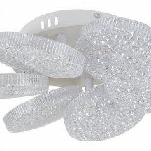 Потолочная светодиодная люстра Escada Agata 10278/6LED