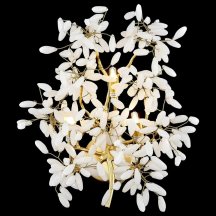 Настенный светильник Dorothy WE193.03.401