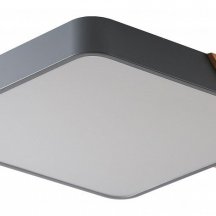 Потолочный светильник Alberro ZRS.01288.48