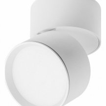 Точечный светильник Lightstar Acuto 215836