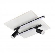 Потолочный светильник Lumion Stells 8256/40CL