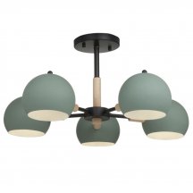 Потолочная люстра Trisha FR5032CL-05B