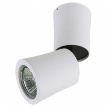 Точечный накладной светильник Lightstar Rotonda 214456 (Италия)