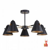Потолочная люстра F-Promo Rigor 2844-5P