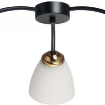 Потолочная люстра DeMarkt Нежность 676016903