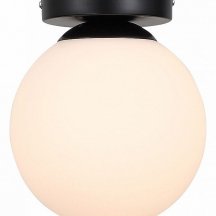 Настенно-потолочный светильник ST Luce Acini SL717.401.01