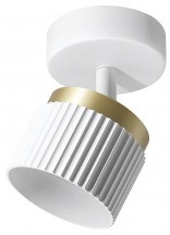 Накладной светильник Wolta MUSE WSL-GX53/19WG-2