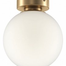 Настенно-потолочный светильник Maytoni Basic form MOD321WL-01G2