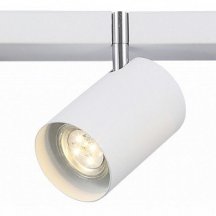 Настенно-потолочный светильник ST Luce Fanale SL597.501.03