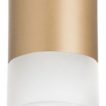 Точечный светильник Lightstar Rullo R349081