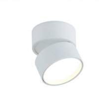 Точечный светильник Bloom DL18960R12W1W