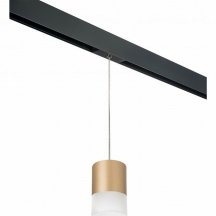 Трековый светильник Lightstar Rullo PRORP349081