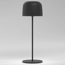 Уличный светодиодный светильник Elektrostandard Bitty черный TL70260 a069002