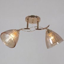 Потолочная люстра Reluce 02560-0.3-02 FG