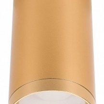 Потолочный светильник Lucia Tucci Caruso LTP-C005-01GU10-G