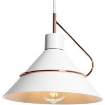 Подвесной светильник Lussole Lgo Bossier GRLSP-8264