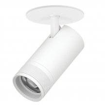 Спот Canno Pro C4306RS