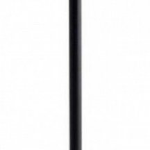 Настольная лампа декоративная Arte Lamp Fuyue A1614LT-1BK