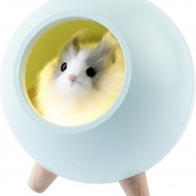 Ночник  NLED-468-1W-GR