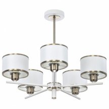 Потолочная люстра Citilux Alton CL421252