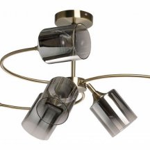 Потолочная люстра Вита 220014106