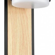 Настенный светильник Lumion Leland 8264/1W