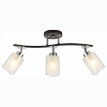 Спот Citilux Фортуна CL156132