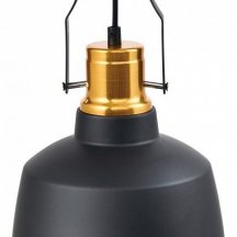 Подвесной светильник Moderli Felex V1440-1P