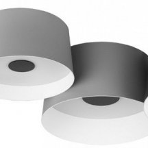 Потолочный светодиодный светильник Loft IT Duo 10360/4