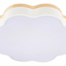 Потолочный светильник Axel 10225/36 White