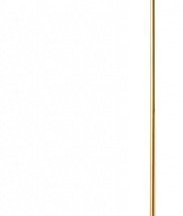 Торшер Lussole Escambia LSP-0719