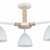 Потолочная люстра Colange 8095/3C